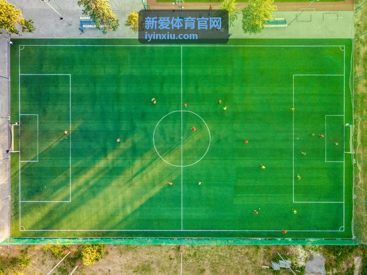 新爱体育官网会员权益对照