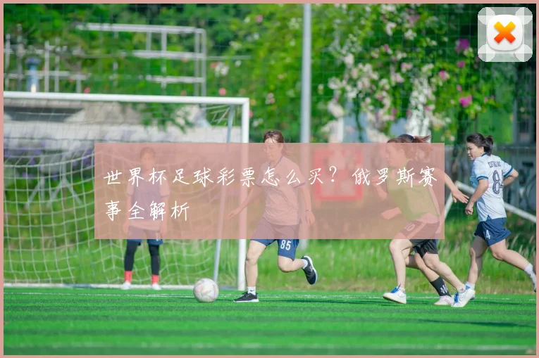 世界杯足球彩票怎么买？俄罗斯赛事全解析