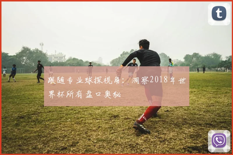 跟随专业球探视角：洞察2018年世界杯所有盘口奥秘