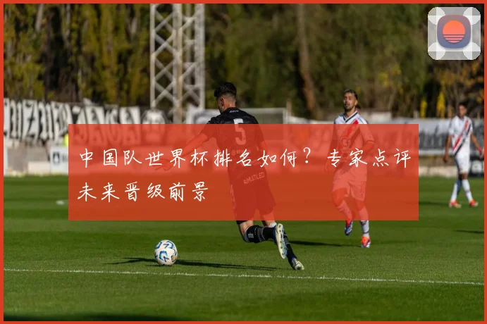 中国队世界杯排名如何?专家点评未来晋级前景