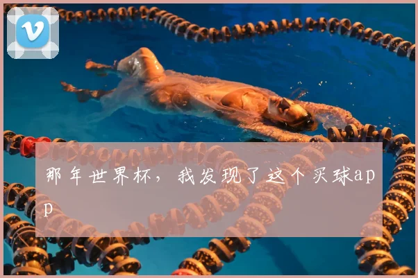那年世界杯,我发现了这个买球app