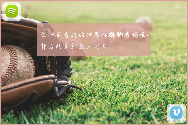 你一定看过的世界杯群聊名场面,背后的真相让人泪目