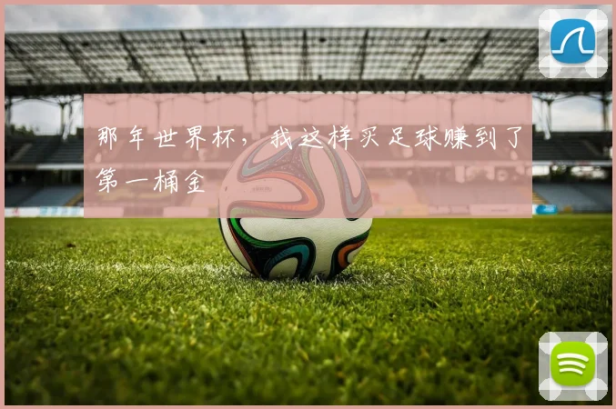 那年世界杯，我这样买足球赚到了第一桶金