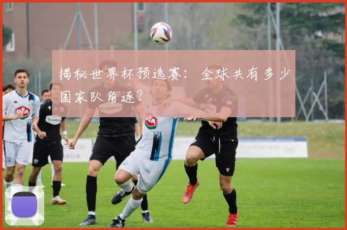 揭秘世界杯预选赛:全球共有多少国家队角逐?