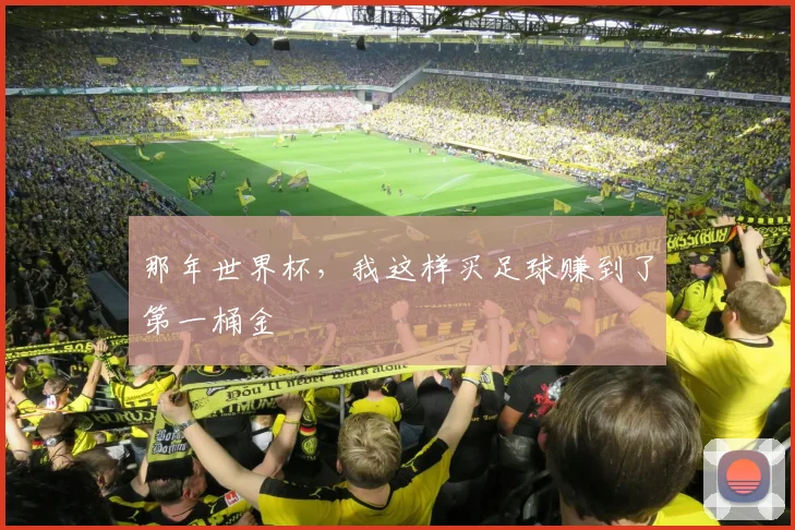 那年世界杯，我这样买足球赚到了第一桶金
