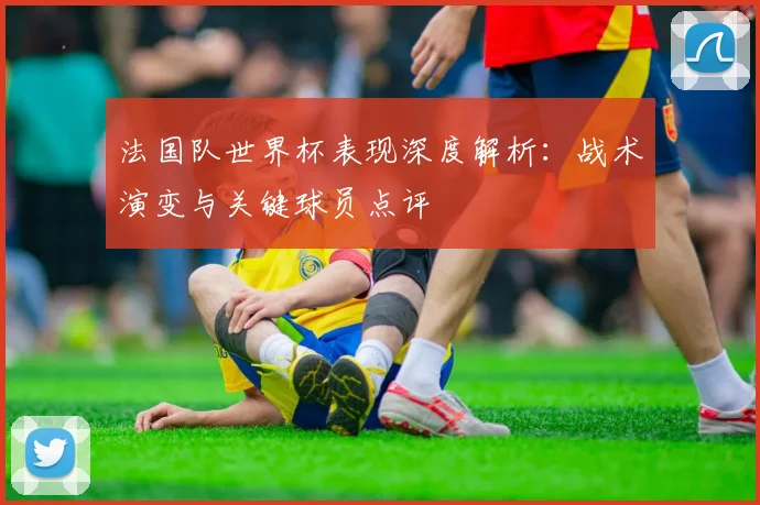 法国队世界杯表现深度解析：战术演变与关键球员点评