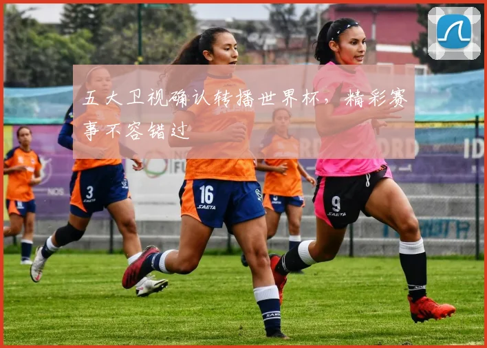五大卫视确认转播世界杯,精彩赛事不容错过