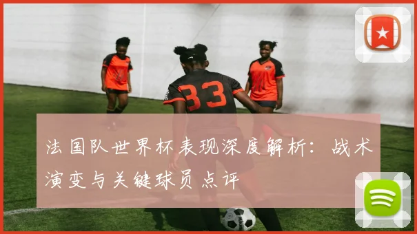 法国队世界杯表现深度解析：战术演变与关键球员点评