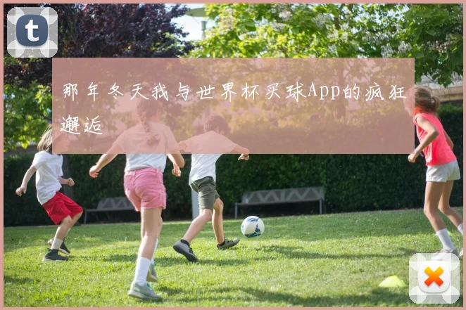 那年冬天我与世界杯买球App的疯狂邂逅