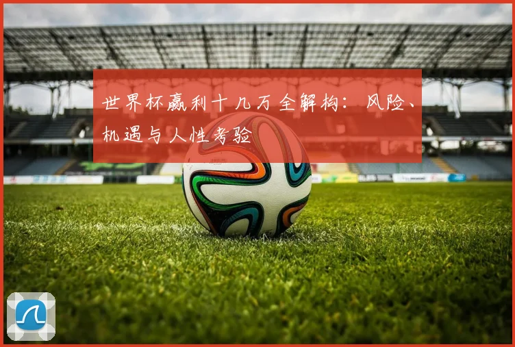 世界杯赢利十几万全解构：风险、机遇与人性考验